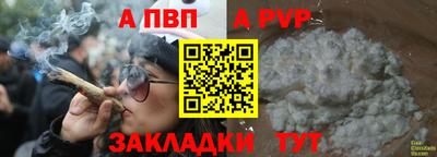 дживик Кингисепп