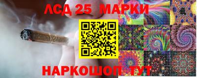 дживик Кингисепп