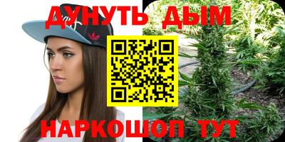 дживик Кингисепп