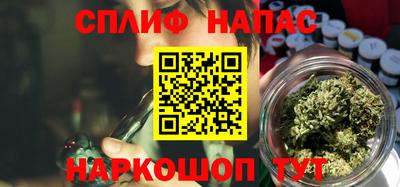 дживик Кингисепп
