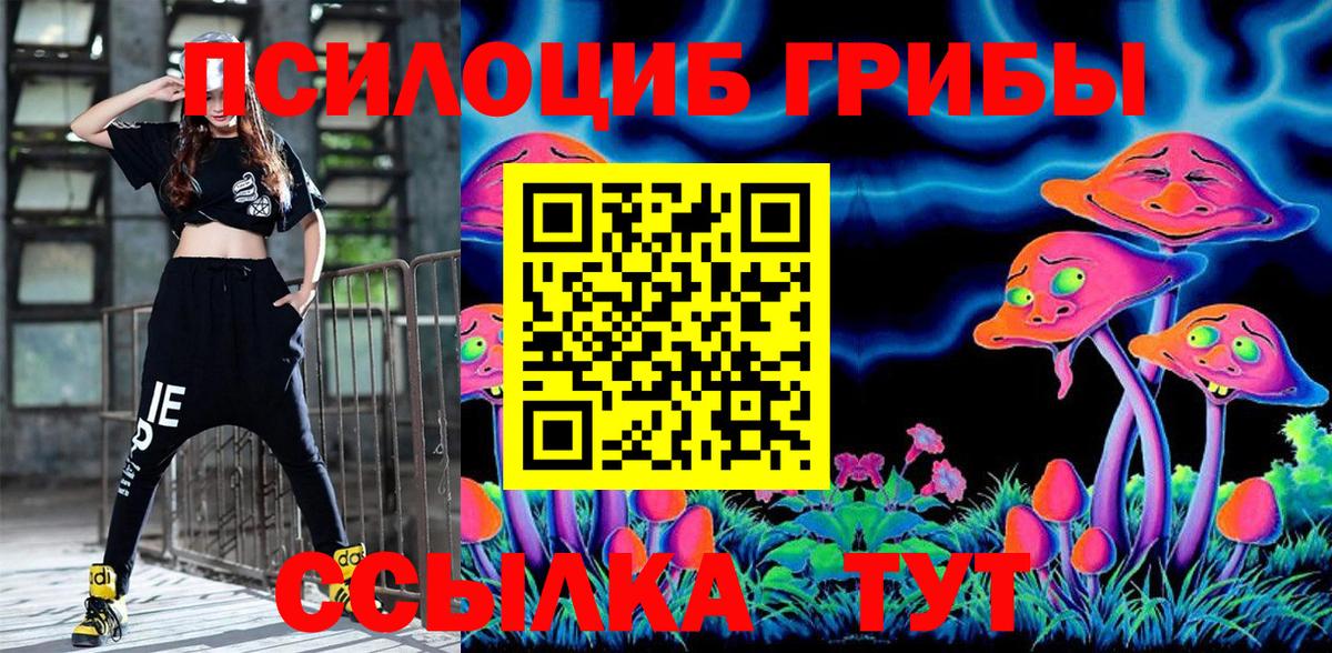 Псилоцибиновые грибы Psilocybine cubensis  Вход с VPN  Озёры 